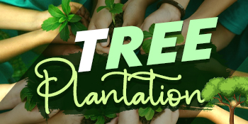 TREE PLANTATION